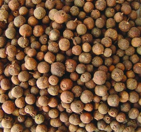 Allspice Pimenta dioica